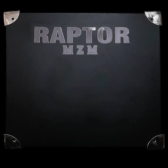 هدلایت ۲۰۰ وات اورجینال Raptor از برند Mzm پایه H1